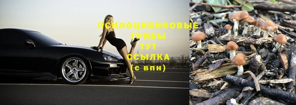 MDMA Premium VHQ Гусев