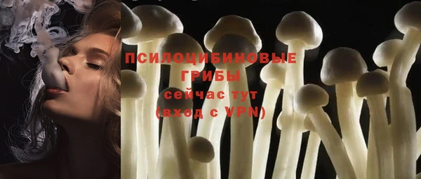 синтетический гашиш Сосновый Бор