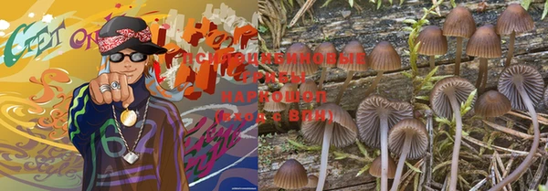 PSILOCYBIN Елабуга