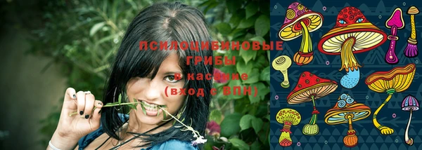 меф Гусь-Хрустальный