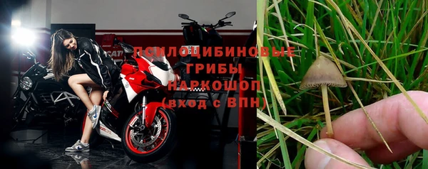 меф Гусь-Хрустальный
