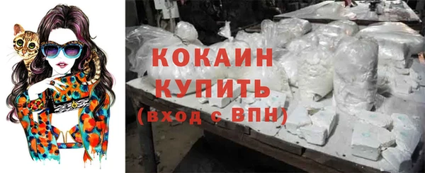 PSILOCYBIN Елабуга