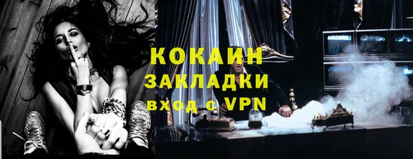 ешки Ельня