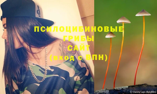 ешки Ельня