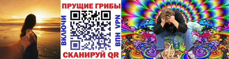 Псилоцибиновые грибы Cubensis  закладка  Валуйки 
